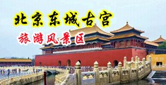 小骚货鸡巴干死你视频中国北京-东城古宫旅游风景区